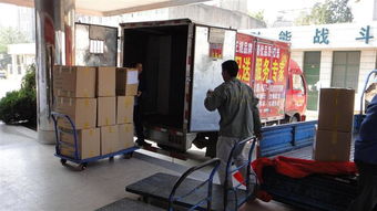 桂林家政公司 廣西家政鐘點工 桂林家政保潔服務 桂林臨桂迅達防治害蟲