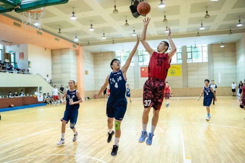 打出 堅守 推陳 出新 組合拳,上海青少年籃球展現新氣象