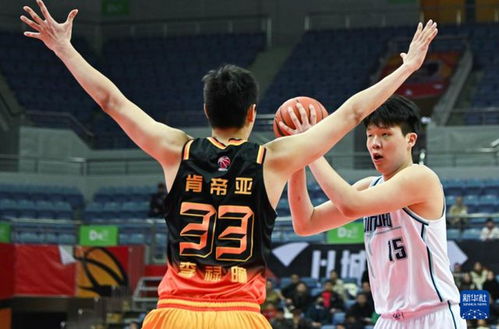 關注 邁阿密熱火隊球探 今年是選秀小年 楊瀚森若參選機會更大