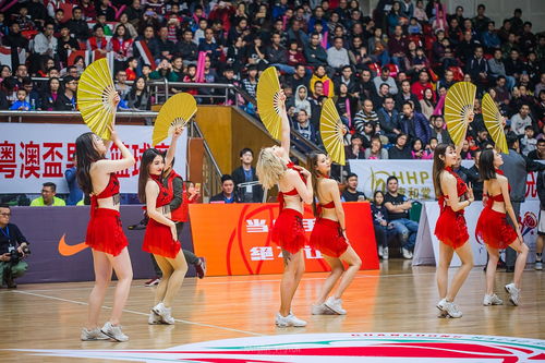 第二屆粵澳盃籃球賽