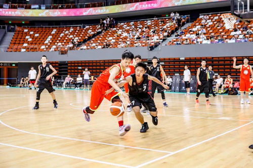 體育愛好者,寧波奧體中心,省青少年籃球錦標賽開賽