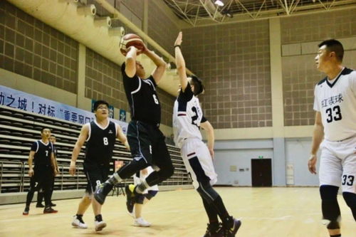 小港奪魁 第二屆街道機關(guān)籃球聯(lián)賽圓滿落幕