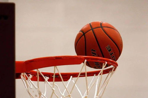 大瀝高級中學與石門實驗學校共同承辦籃球盛事