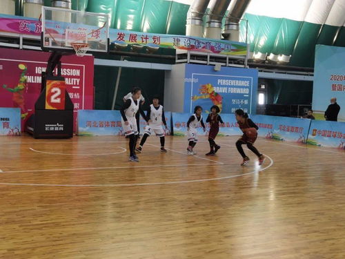 小籃球 大夢想 巔峰對決 問鼎省冠