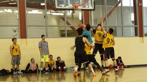 籃球賽多圖集錦