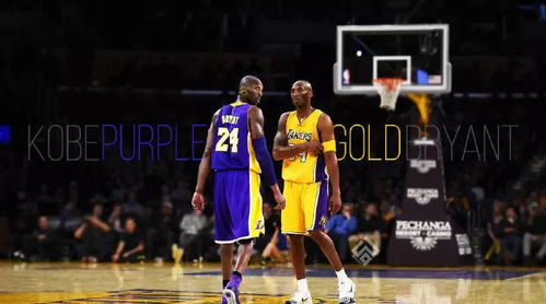 國(guó)際籃球日 關(guān)于籃球那些事