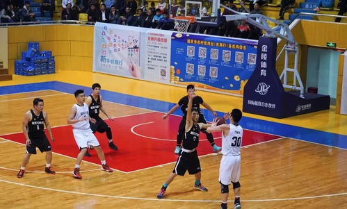 市長(zhǎng)杯 籃球決賽, 籃 不住你們的風(fēng)采