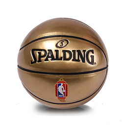 spalding 斯伯丁 nba玩賞兒童pu籃球1號球65 855y