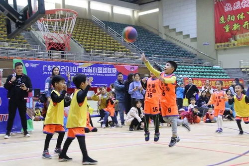 小籃球成就大夢(mèng)想,廣東省小籃球聯(lián)賽 惠州賽區(qū) 圓滿落幕