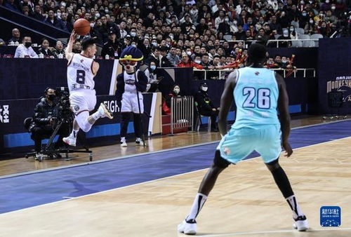 CBA常規賽 南京同曦宙光不敵青島國信水產，青島全面壓制取勝