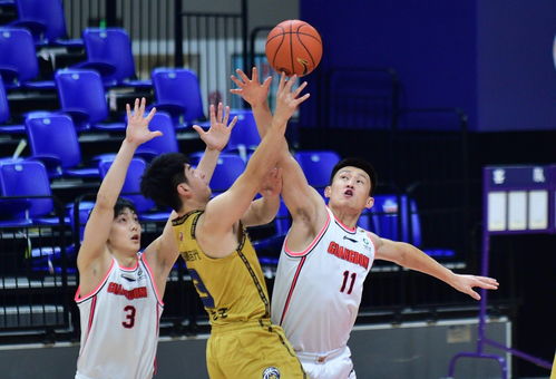 廣東東莞大益力克南京同曦宙光，CBA第二階段再添關鍵勝利