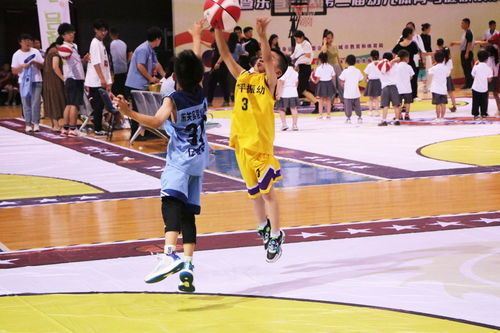 藍(lán)球熱浪席卷水城——聊城市第十四屆全民健身運(yùn)動(dòng)會(huì)幼兒籃球比賽圓滿(mǎn)落幕